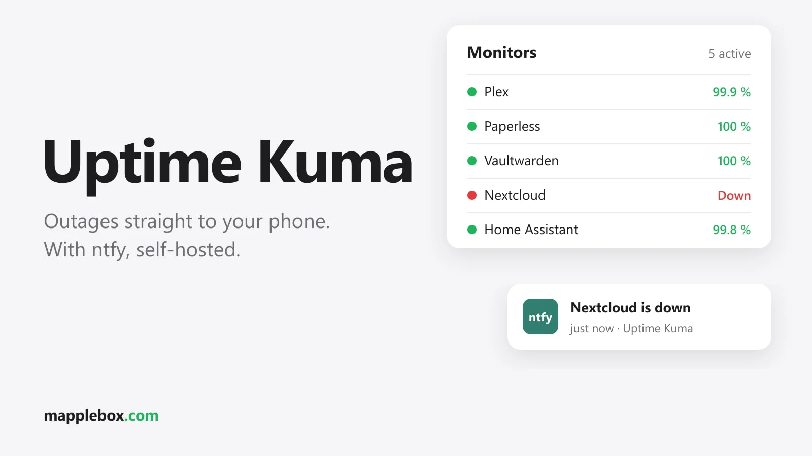 Uptime Kuma + ntfy: Homelab Push Alerts Without the Cloud