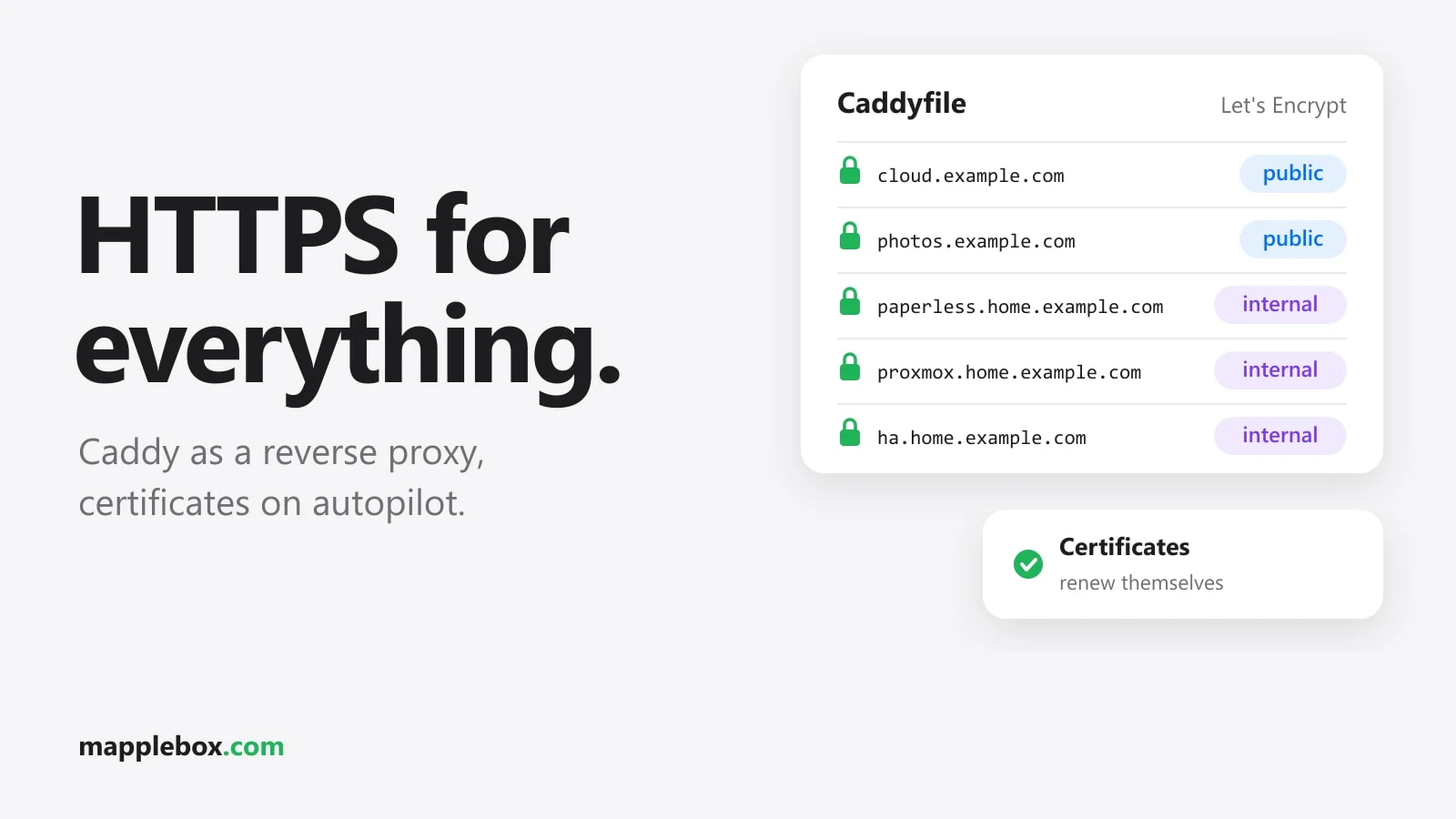 Caddy Reverse Proxy in Your Homelab: Automatic HTTPS